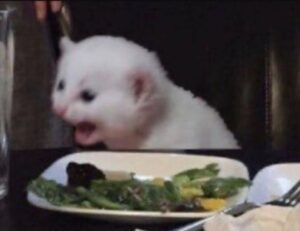 discount coupon lwmfhotels