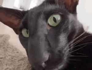 discount coupon lwmfhotels