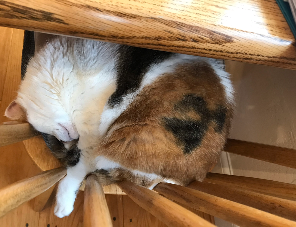 discount offers lwmfhotels