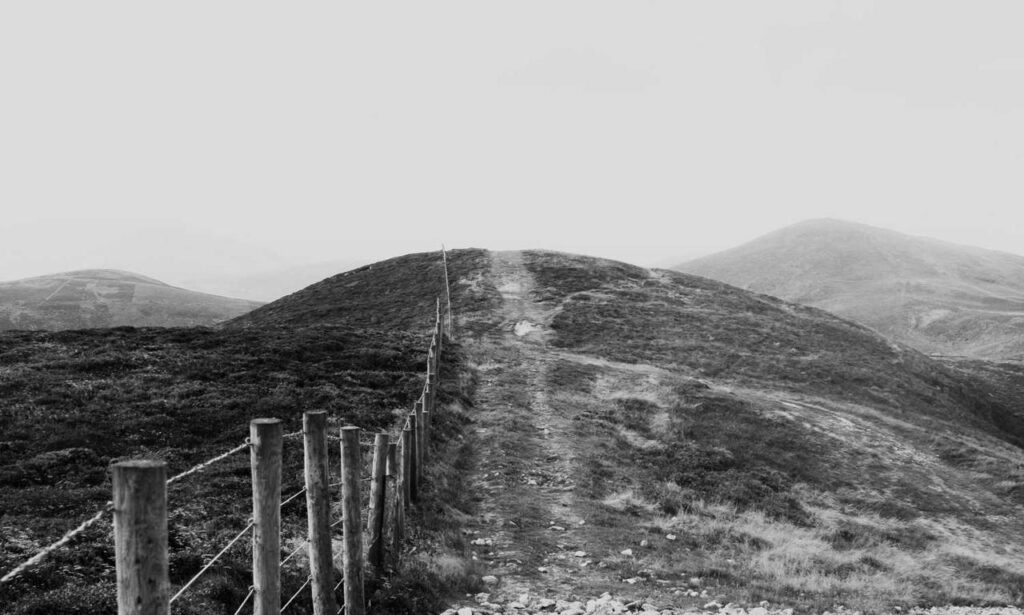 diving in the safukip sea