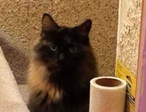 finding prices lwmfhotels lookwhatmomfound