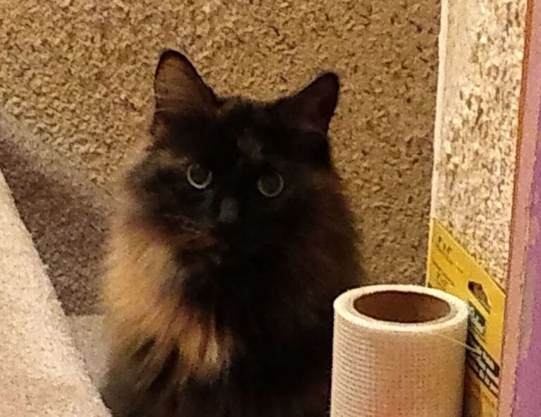 finding prices lwmfhotels lookwhatmomfound