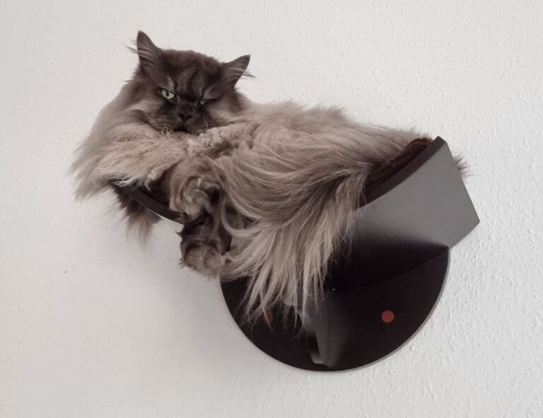 items in game playonit55