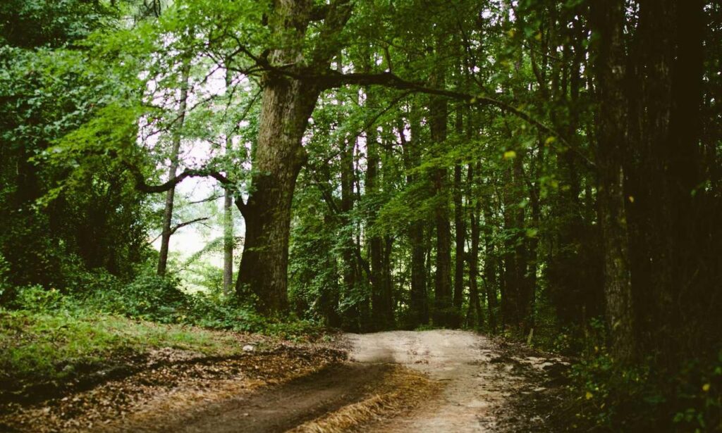 items in game playonit55