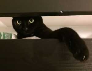 lwmfhotels discount codes from lookwhatmumfound