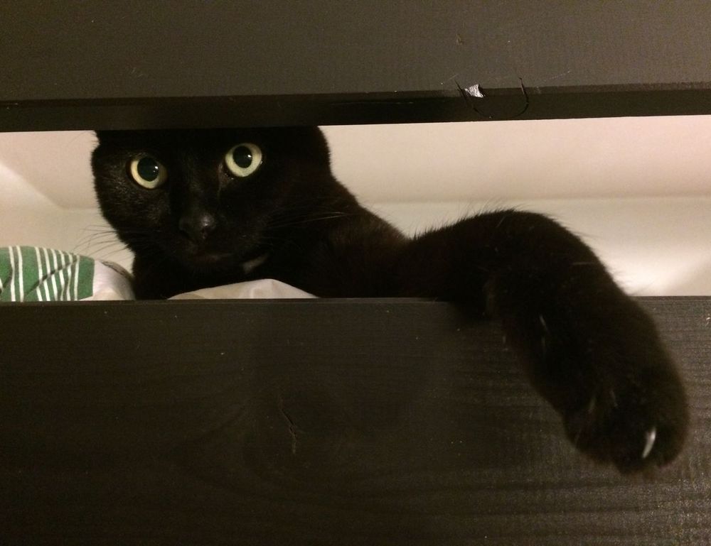 lwmfhotels discount codes from lookwhatmumfound