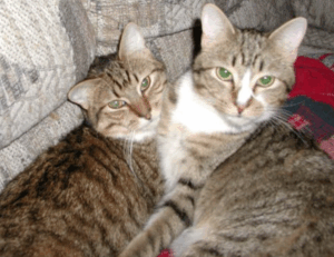 lwmfmaps travel guides