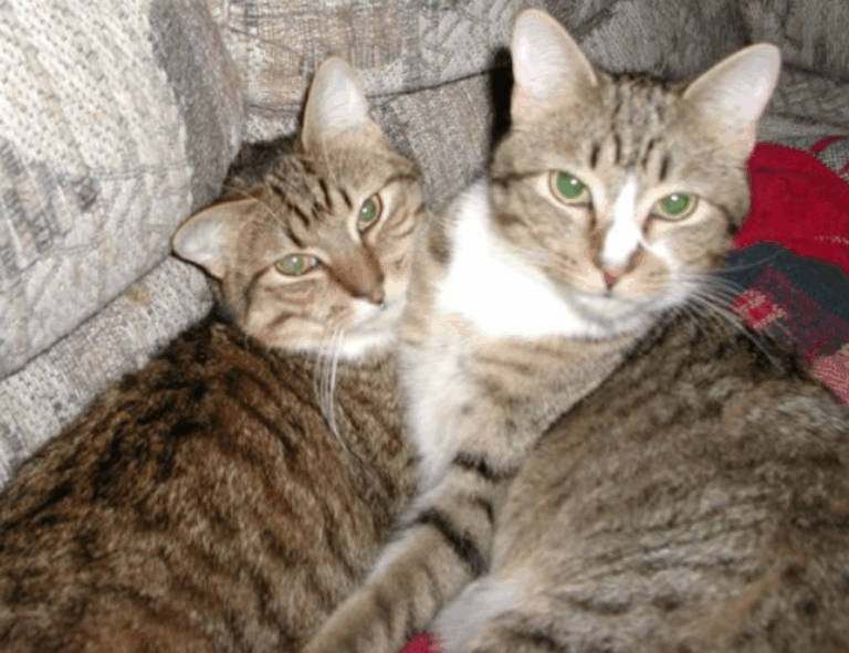 lwmfmaps travel guides