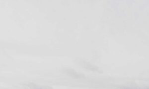 software hcs 411gits updated