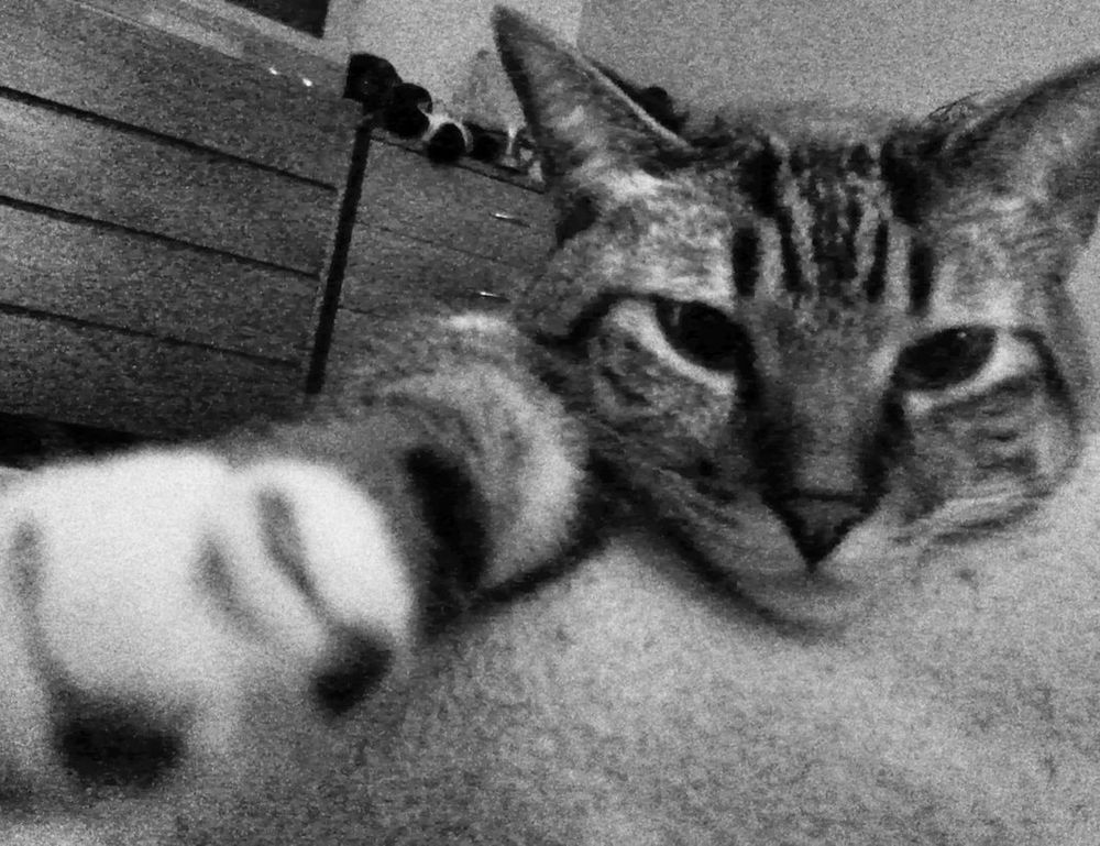 the map guide lwmfmaps from lookwhatmomfound