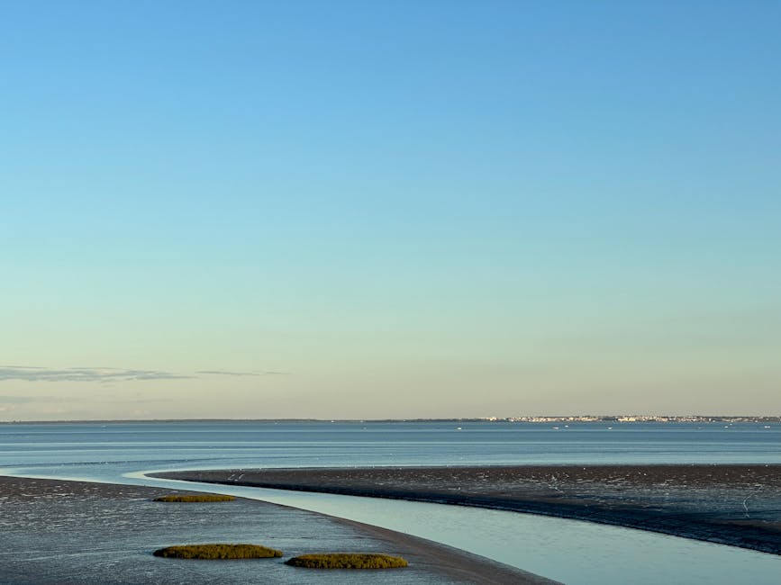 untouched wilderness