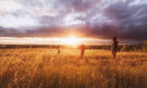 what are try and except in python 2579xao6