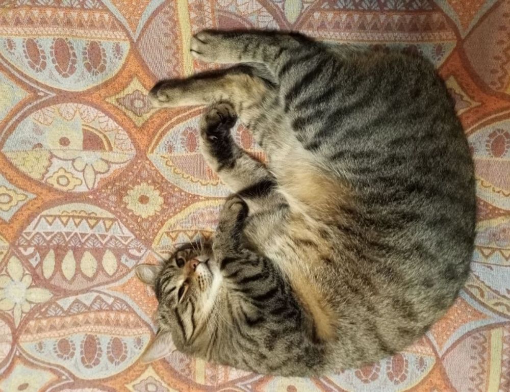 which obernaft character should i play