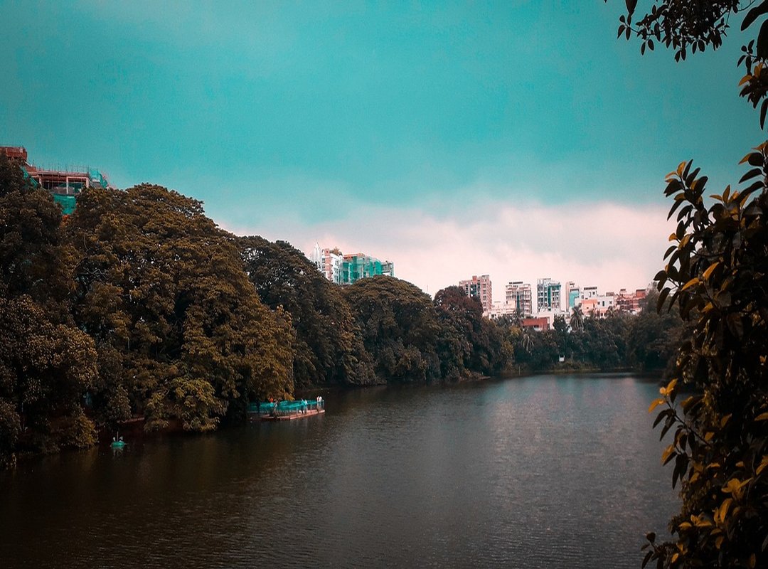 Why Buying in Dhanmondi Can Affect the Price