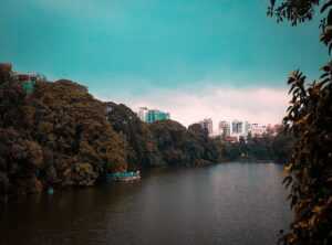 bangladeshi xxiv 2023 price dhanmondi