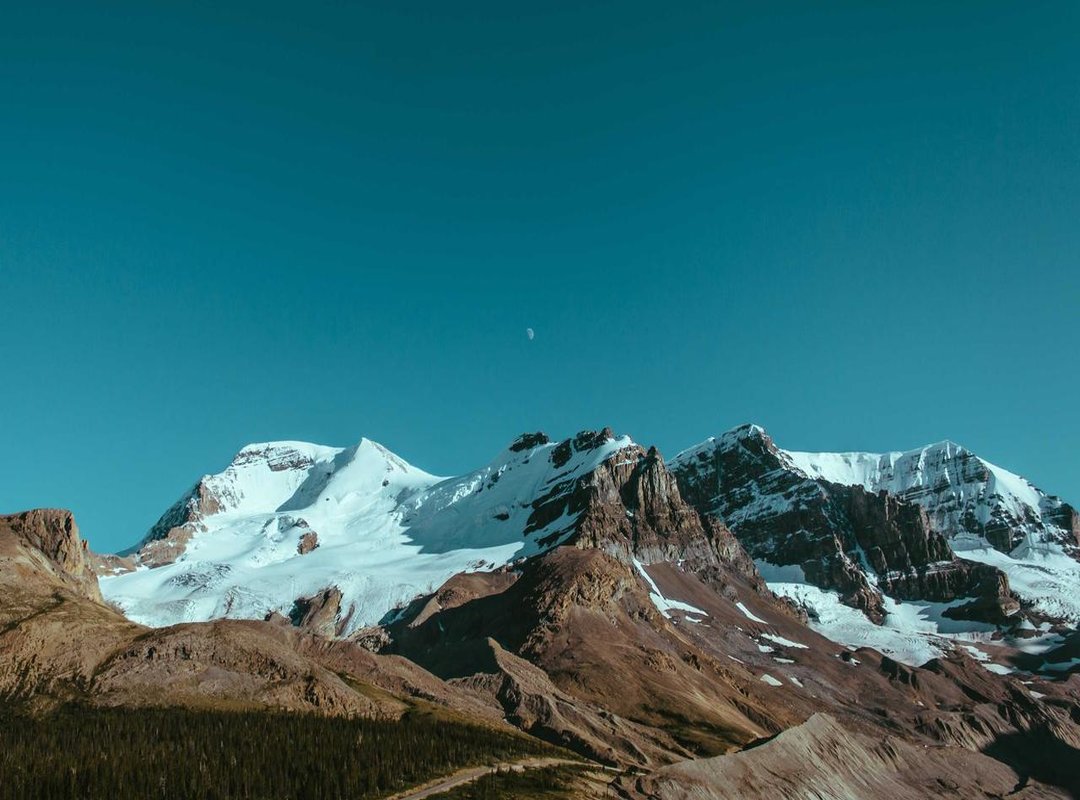 Carla Lagerfeld's Life Today: Beyond the Famous Name