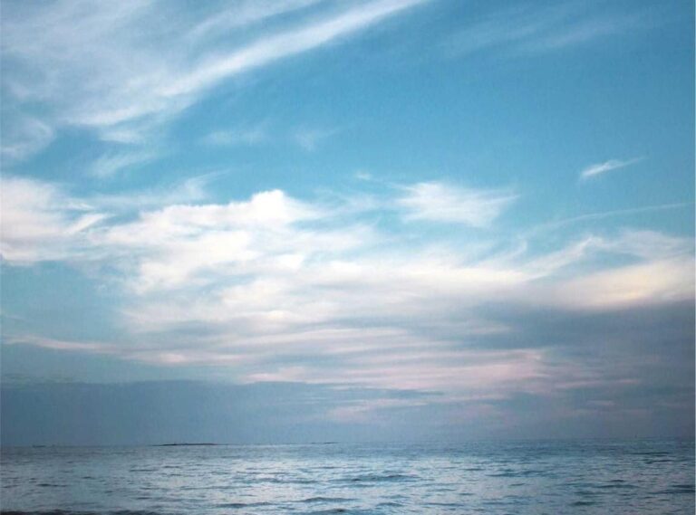 carla lagerfeld leeftijd