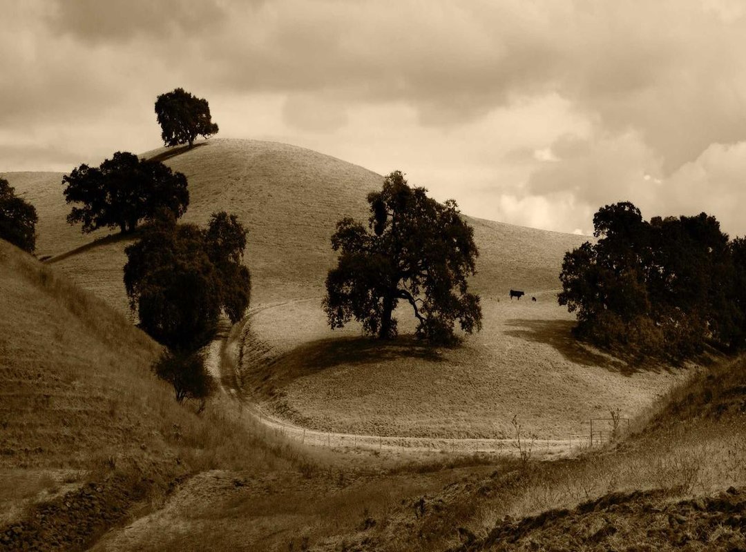 How to Download and Install FR Legends Mod APK (Android Guide)