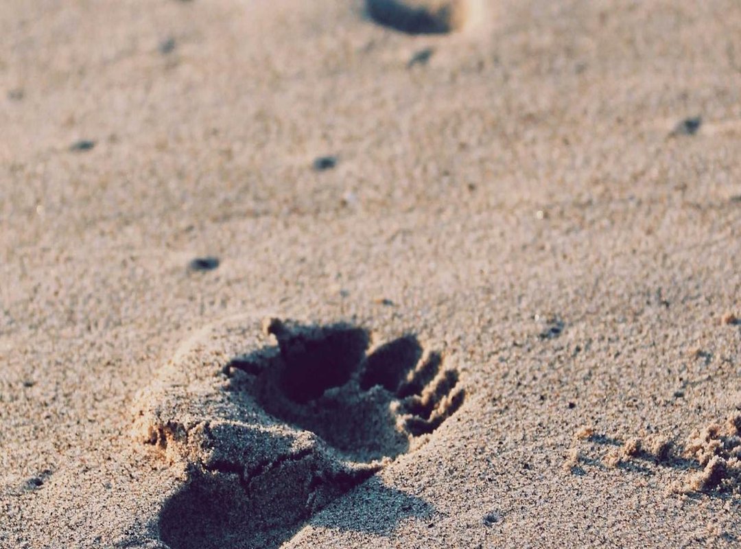 Breaking Down the Investment: More Than Just a Price Tag