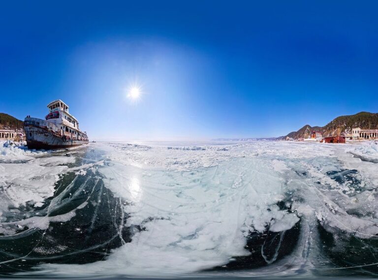 logo burung hantu 360