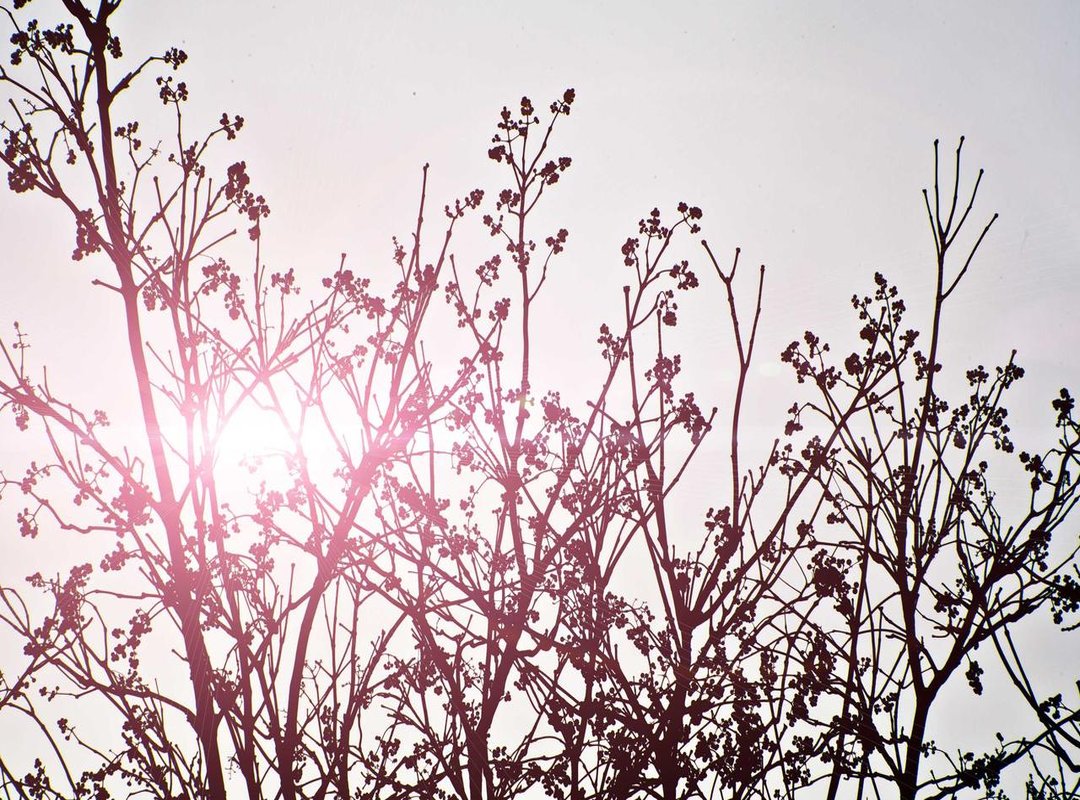 How to Play a Basic Hand: A Step-by-Step Walkthrough