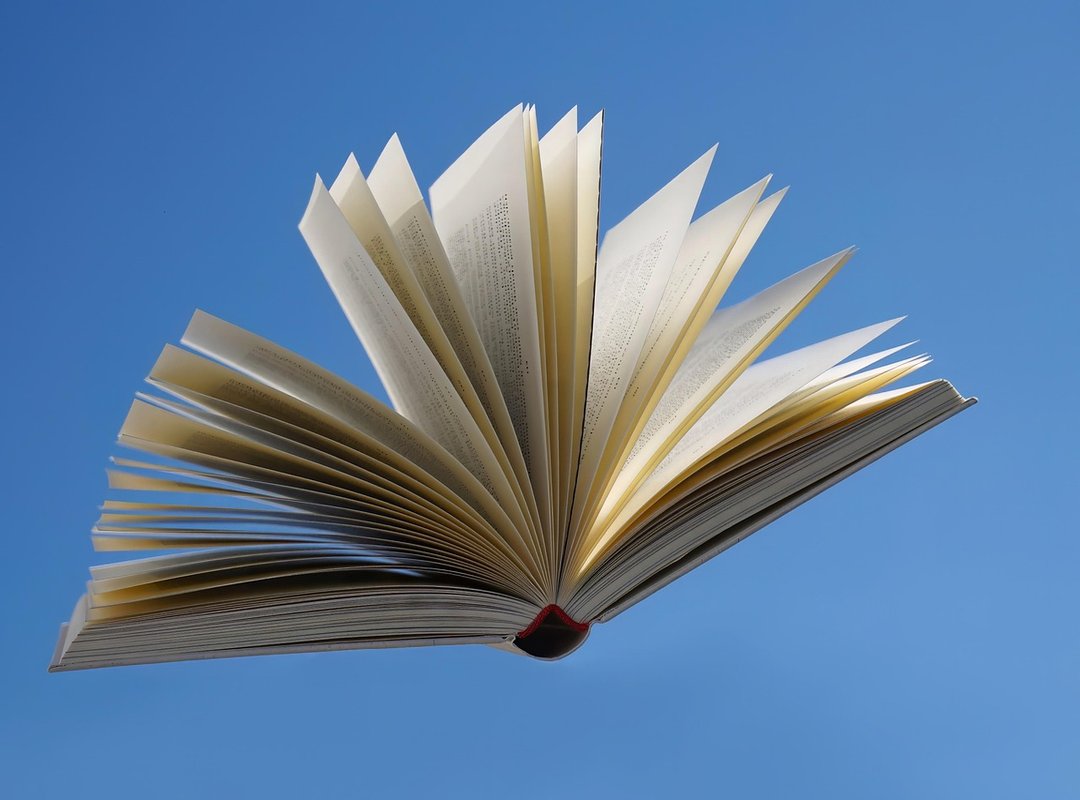 How and Where to Read the 'Mi Frio Exmarido' Novel Online