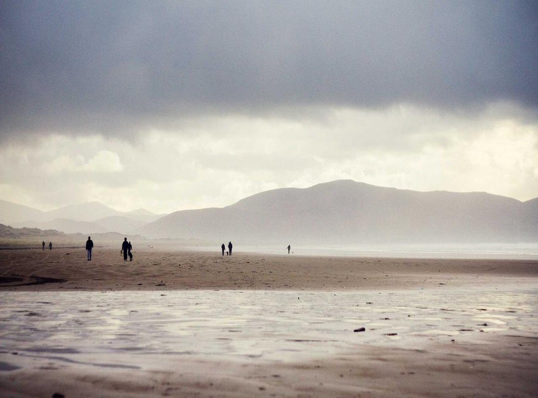 Beyond News: Sports Papers and Regional Media