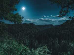 romantic couple pics at night gif