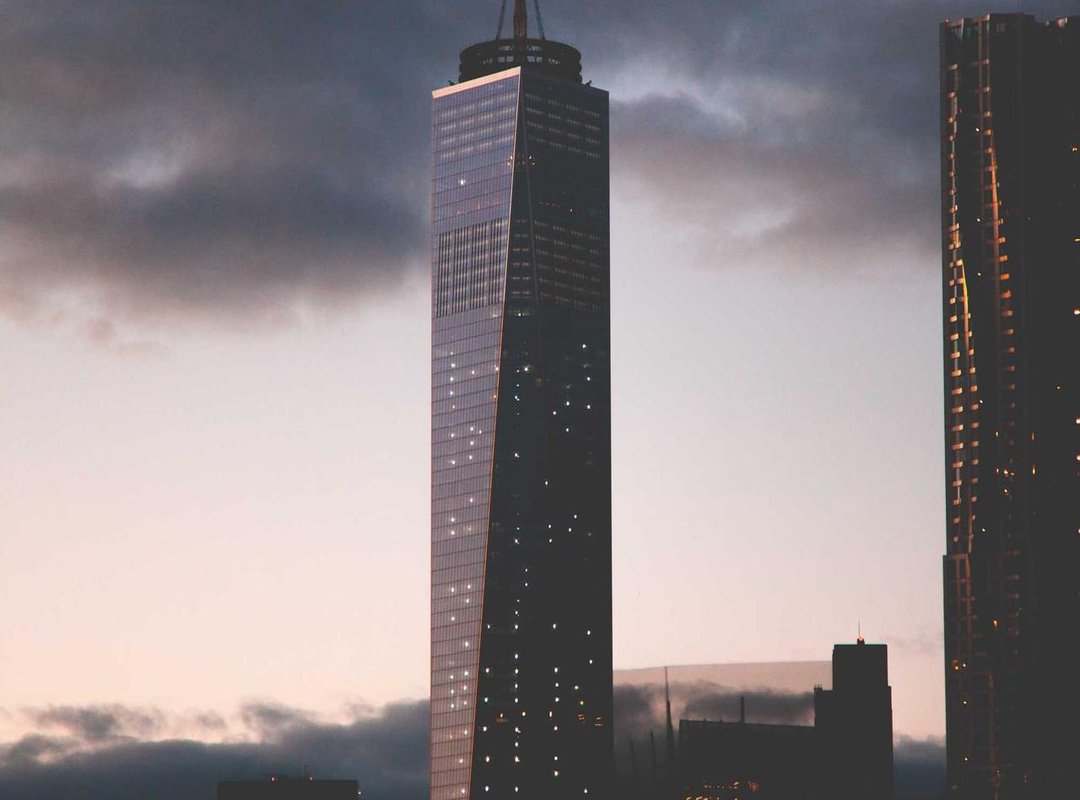 The Rivalry for Affection: Tom, Jerry, and Butch