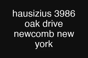 hausizius 3986 oak drive newcomb new york